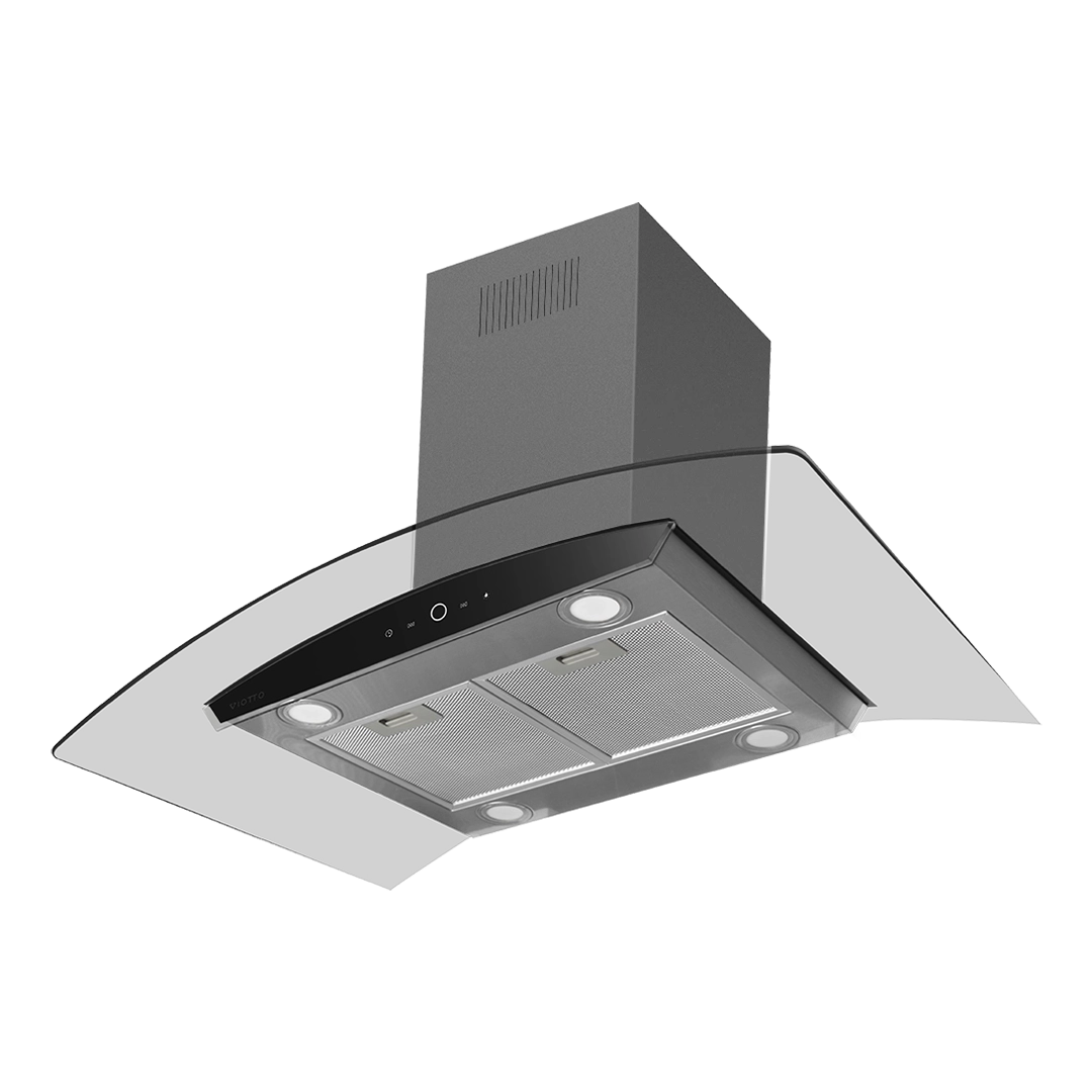 VIAP1000136_2